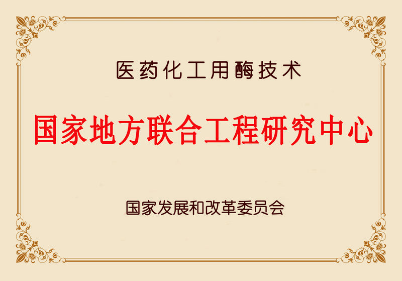 國家地方聯(lián)合工程研究中心